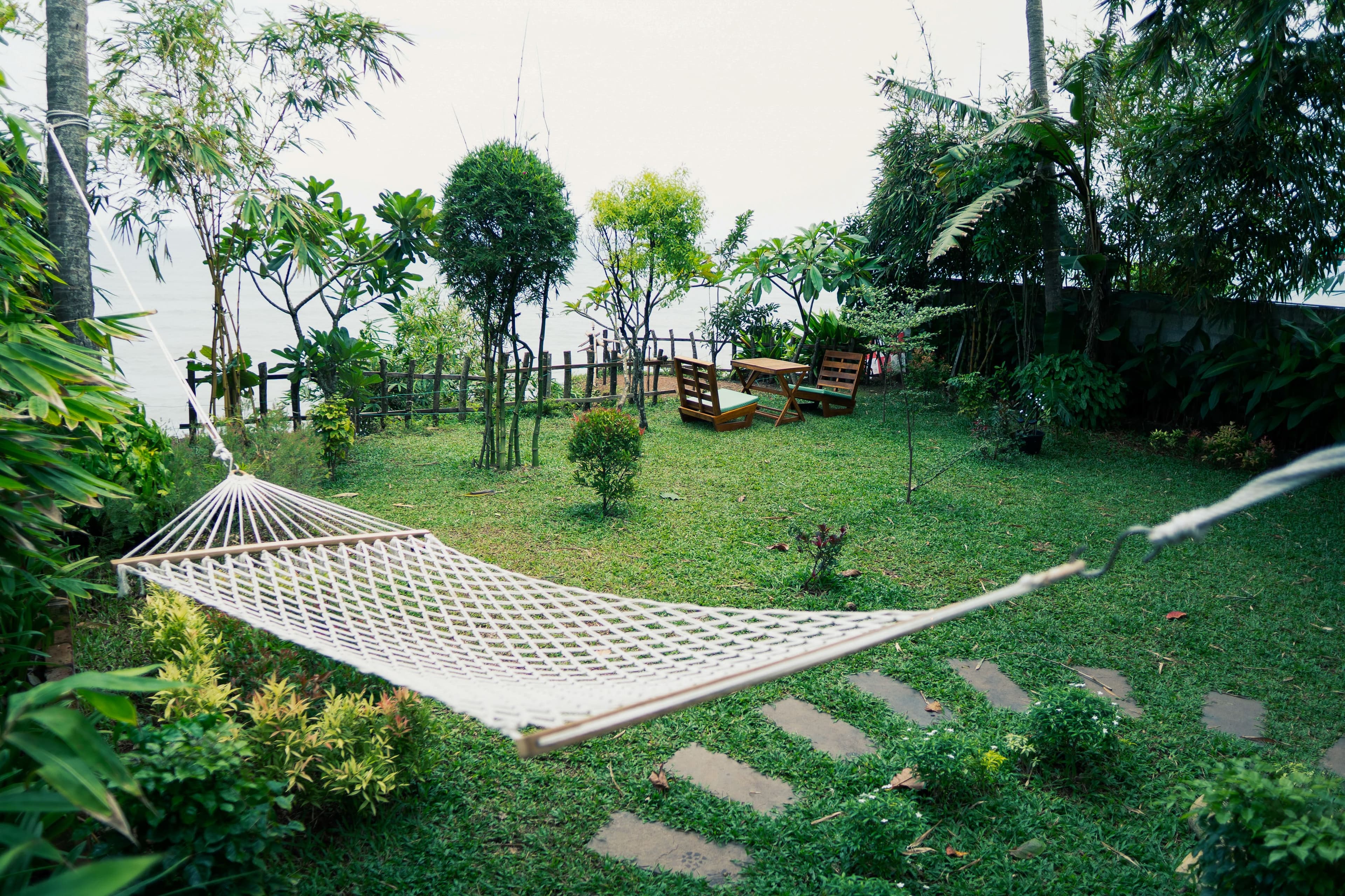 Cliff View